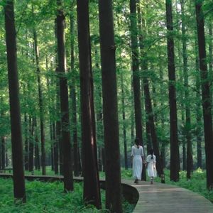 给你一瓶魔法药水