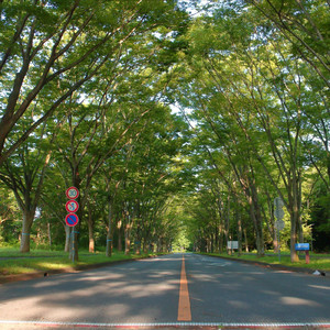 ひとり / ぼっち