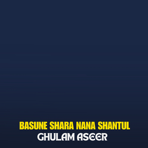 Basune Shara Nana Shantul