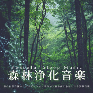 鳥のさえずりと静かな森 - 瞑想とリラックスのための自然音楽
