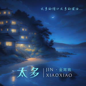 太多（太多的借口太多的理由）