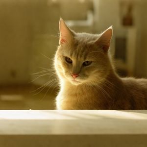 喜欢的是微风吹过道路两旁