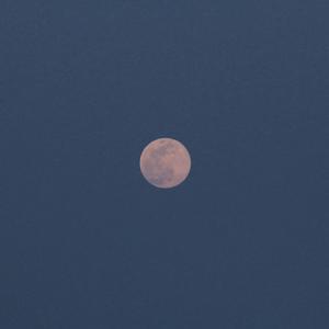 把音量调最大 有话对你讲