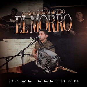 En Que Andara Metido El Morro