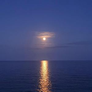 明月何时照我还（古筝版）