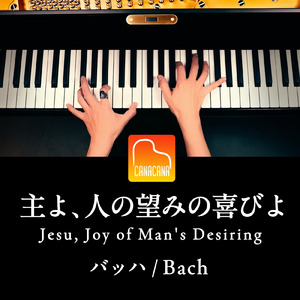 主よ、人の望みの喜びよ