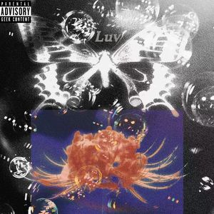 碎片(prod. waytoolost)