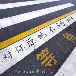 对你原地不动的的等待 伴奏