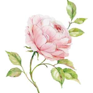 六、七子之歌·澳门【钢琴版】（翻自 群星）