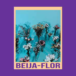 Beija-Flor