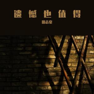 遗憾也值得（翻自 王靖雯不胖）