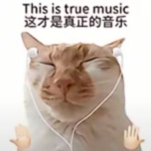 哈基米修猫进行曲