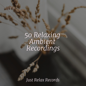 Midnight Spellcasting Symphony