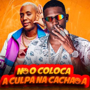 Não Coloca a Culpa na Cachaça