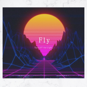 Fly