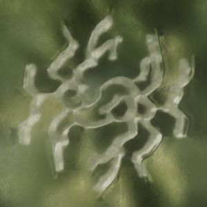 Narcissistic Sequence