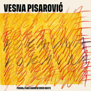 Pokraj Save bagrem drvo raste