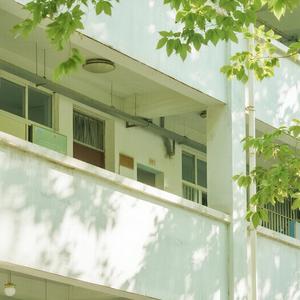 回家 (新版放学了)