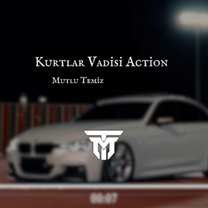 Kurtlar Vadisi Action