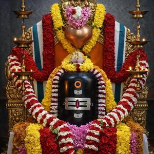 எங்கும் சிவாய