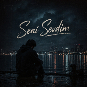 Seni Sevdim