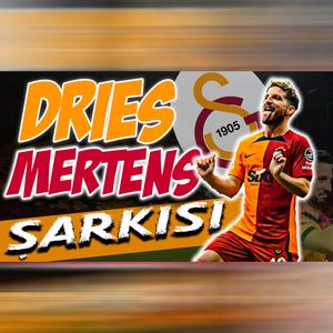 DRİES MERTENS ŞARKISI - ELVEDA