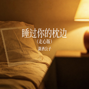 睡过你的枕边（走心版）