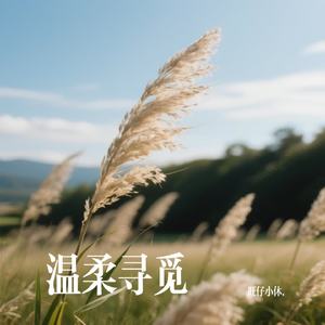 温柔寻觅