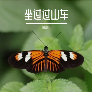 曾经的你（Cover：许巍）