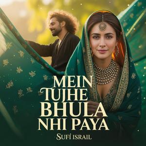 Mein Tujhe Bhula Nhi Paaya