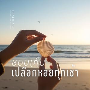 ชอบเก็บเปลือกหอยทุกเช้า