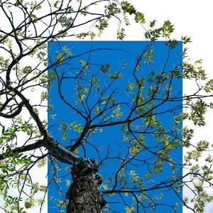 沦陷在你的温柔里