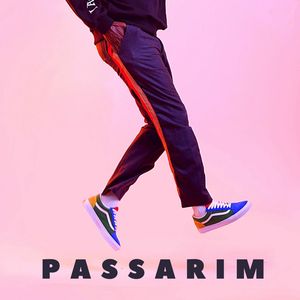 Passarim