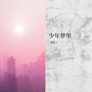 少年梦里