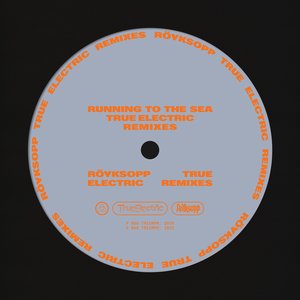 Running To The Sea (Disfreq Remix)