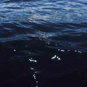 高山流水断河流