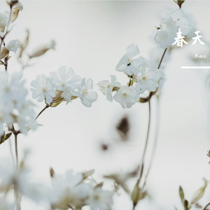 春天不宜（Suno版）