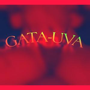 Gata Uva