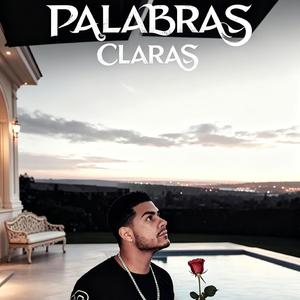 Palabras Claras