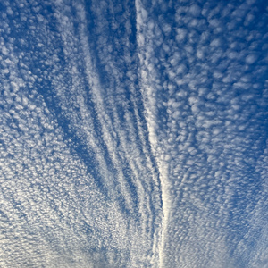 På nyckelpigans rygg