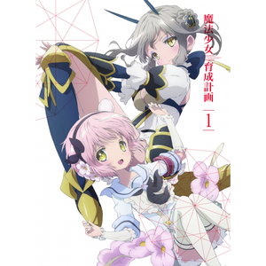 女騎士の孤独な戦い