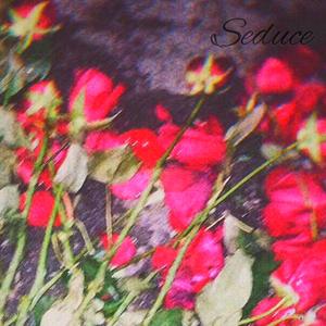 seduce（翻自 ZIV）