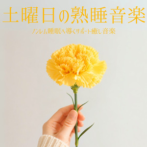 ヒーリング - 心身のリラックス α波の処方箋