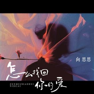 怎么找回你的爱