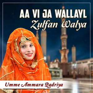 Aa Vi Ja Wallayl Zulfan Walya