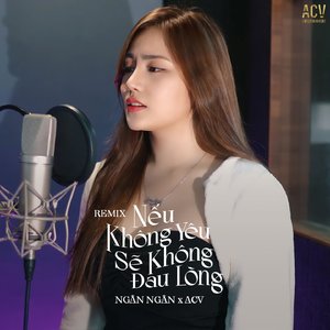 Nếu Không Yêu Sẽ Không Đau Lòng (Bibo Remix)