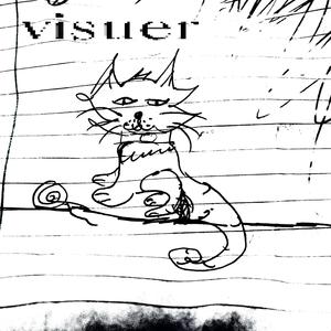 visuer