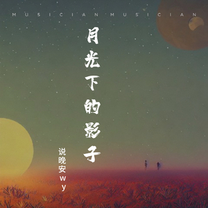 月光下的影子（说晚安wy. remix）