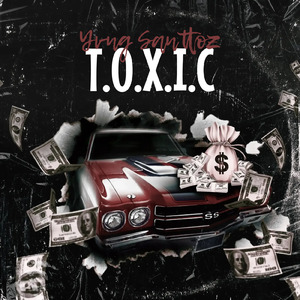 T.O.X.I.C (instrumental)