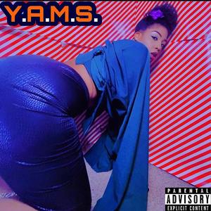 Y.A.M.S.